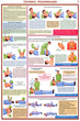 ПС02 Оказание первой помощи пострадавшим (пластик, А2, 6 листов) - Плакаты - Медицинская помощь - ohrana.inoy.org